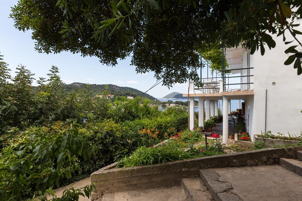 Apartments Miskovic Donje Celo ภายนอก รูปภาพ